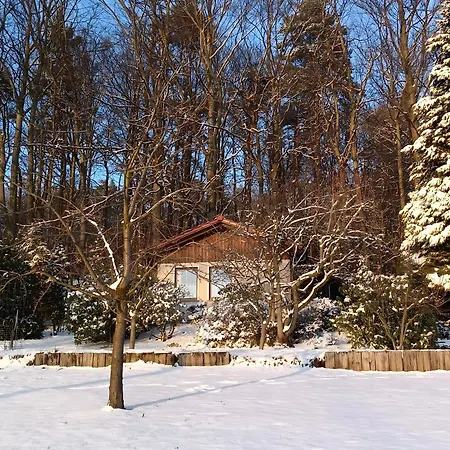 Vakantiehuis Am Wald Mit Suedblick Steina (Saxony)